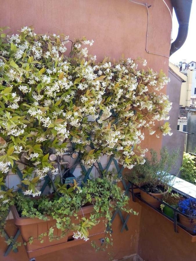 Ca' San Silvestro 2 Terrazze Nel Cuore Di Venezia Eksteriør bilde